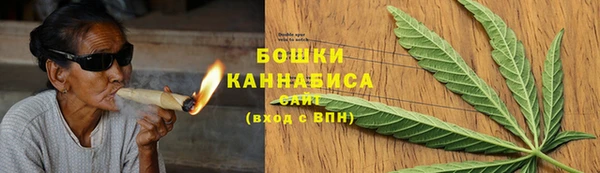 шишки Аркадак