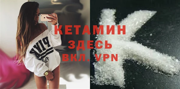 шишки Аркадак