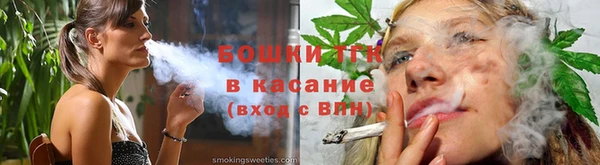 гидра Арсеньев