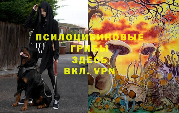 гидра Арсеньев