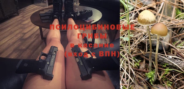 гидра Арсеньев
