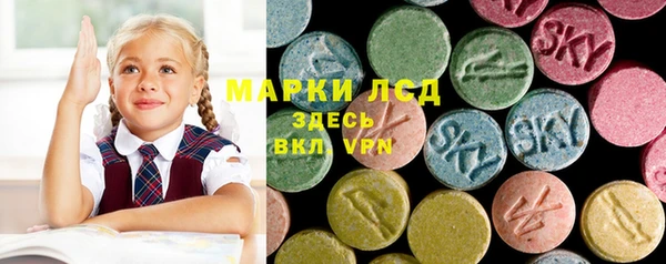 гидра Арсеньев