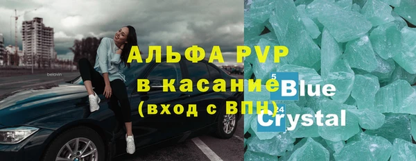 шишки Аркадак